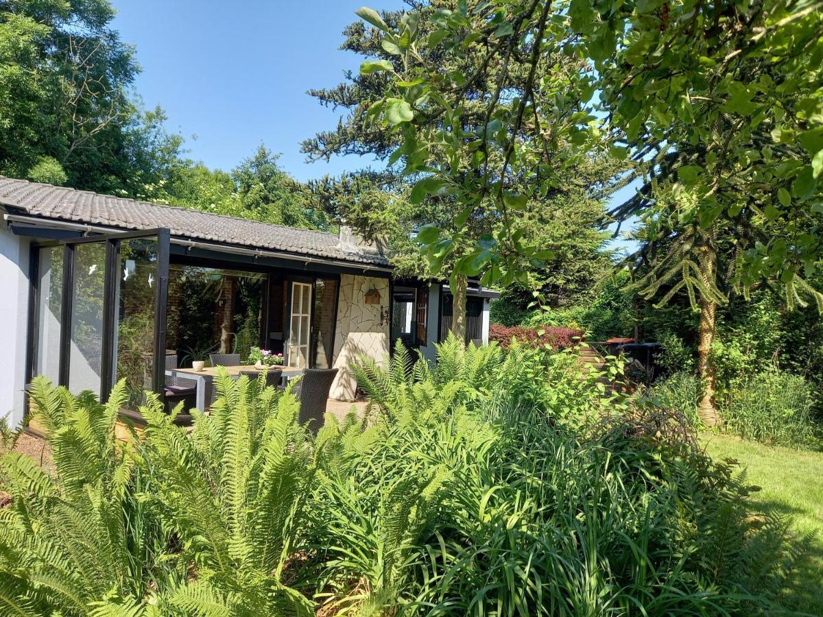 Natuurhuisje Eartswoud Aartswoud Extérieur photo