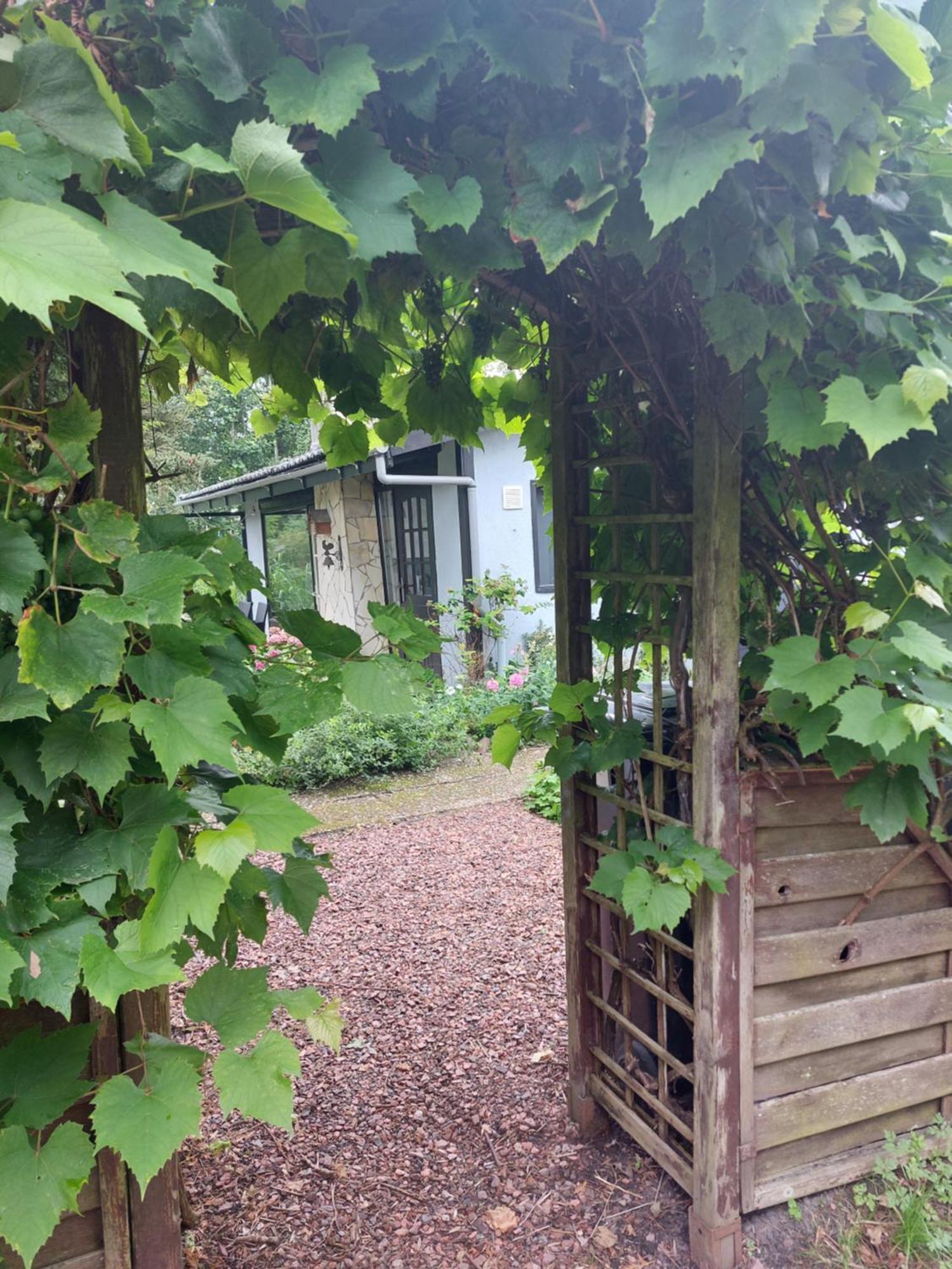 Natuurhuisje Eartswoud Aartswoud Extérieur photo